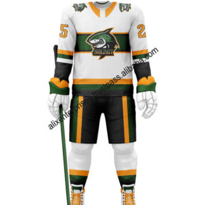 Custom High Quality 100% Polyester Ice Hockey Jersey Sublimation Printing and Embroidered Logo Sportswear