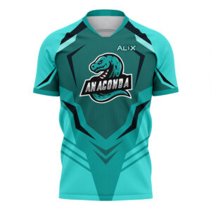Eco-Fit Soccer Jersey